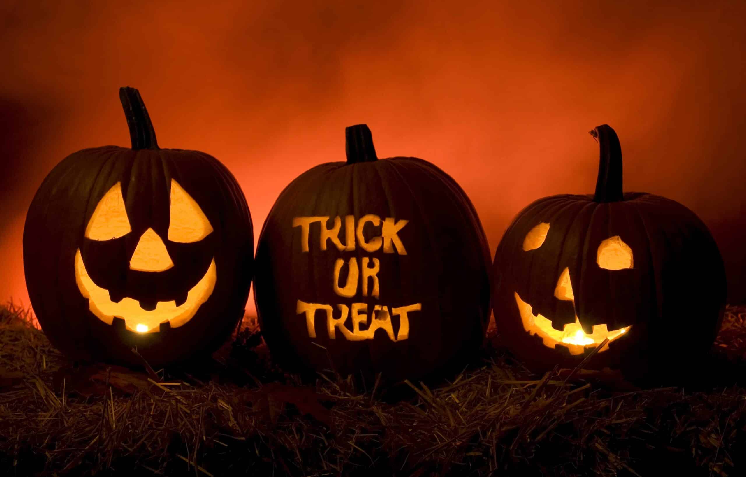 dynie halloweenowe