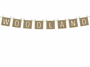 Baner Woodland