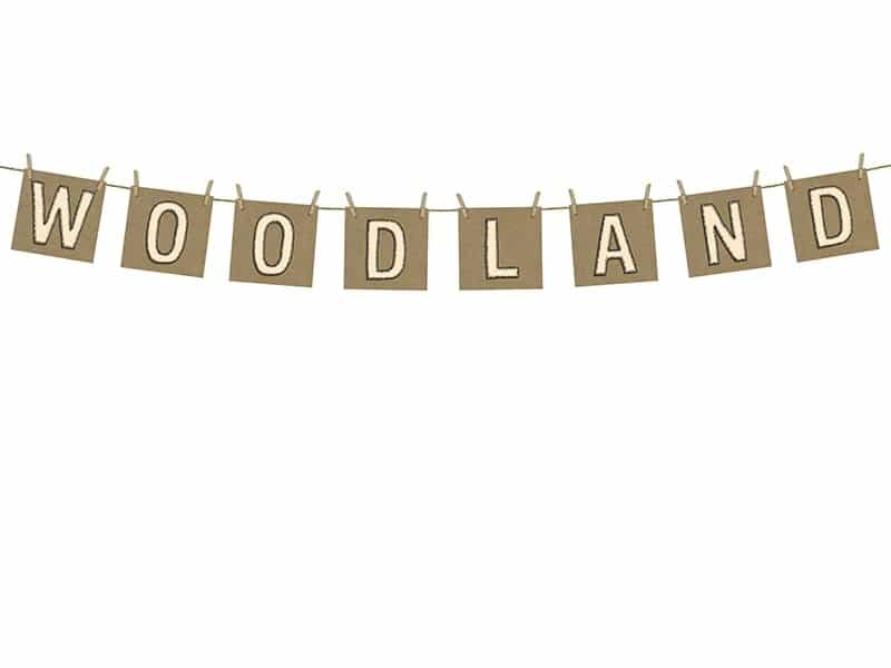 Baner Woodland