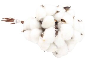 Bawełna Sztuczna Na Piku Pęczek 10 sztuk