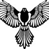 Dekoracja Ścienna obraz Falcon 