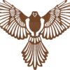 Dekoracja Ścienna obraz Falcon 