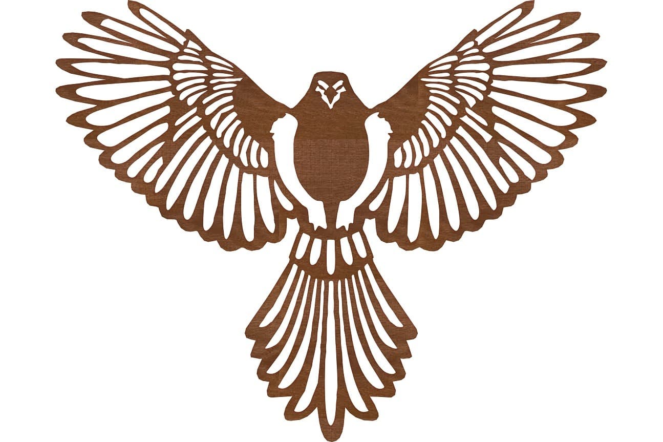 Dekoracja Ścienna obraz Falcon 