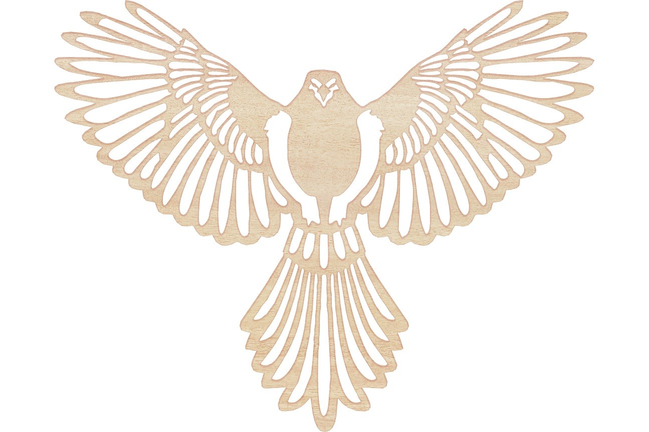 Dekoracja Ścienna obraz Falcon 
