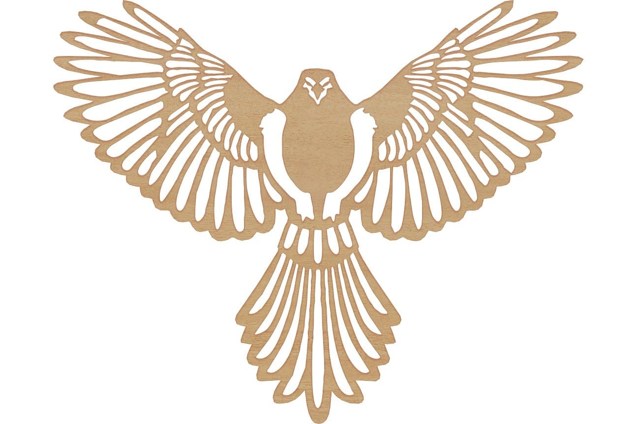 Dekoracja Ścienna obraz Falcon 
