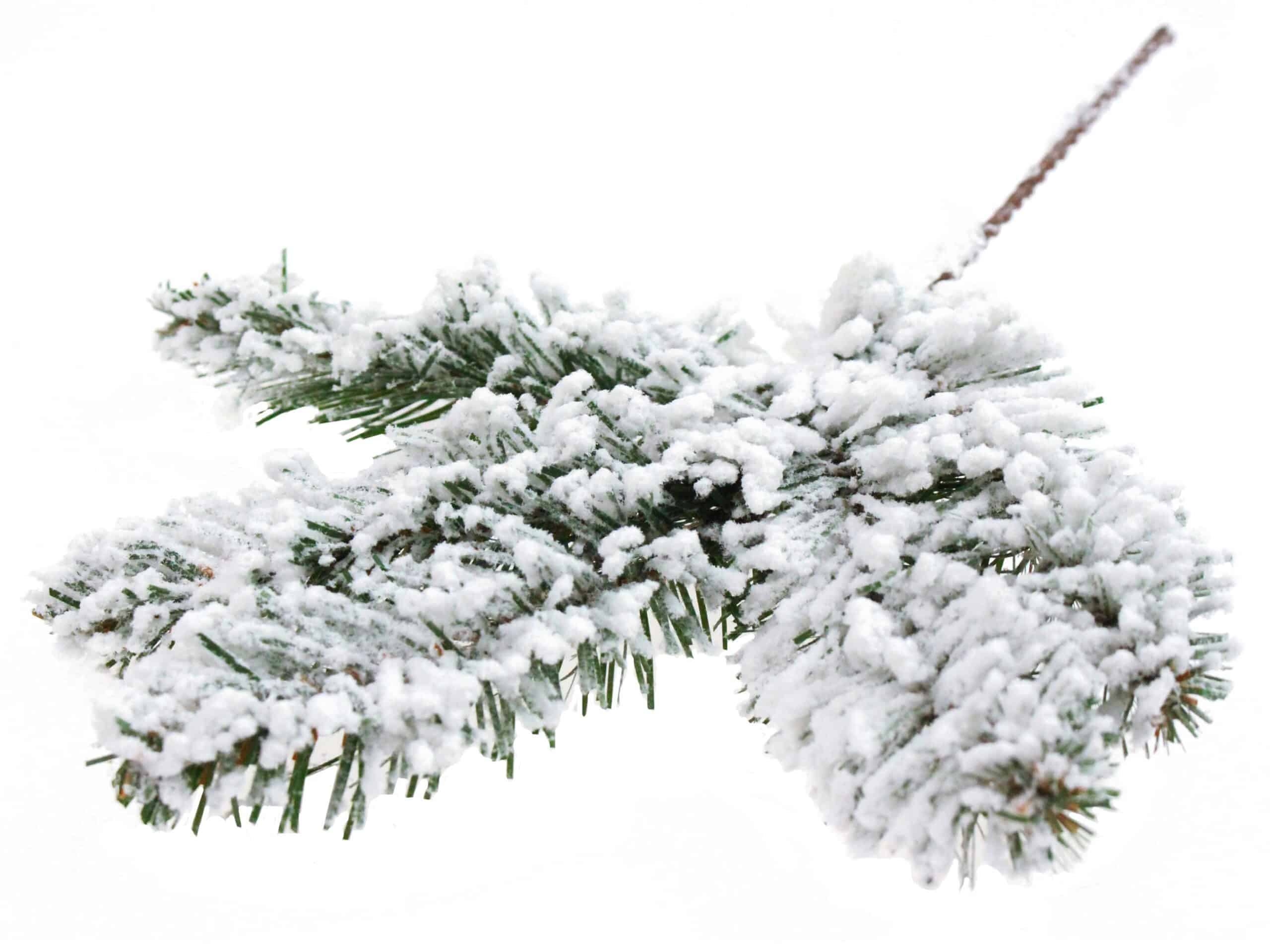 Gałązka do kompozycji, ośnieżony świerk 36cm