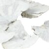 Grzyby suszone 18-25cm white wash 4 szt.