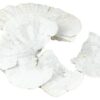 Grzyby suszone 18-25cm white wash 4 szt.