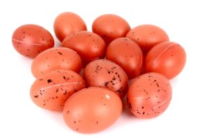 Jajka Naturalne Plastikowe 12 sztuk
