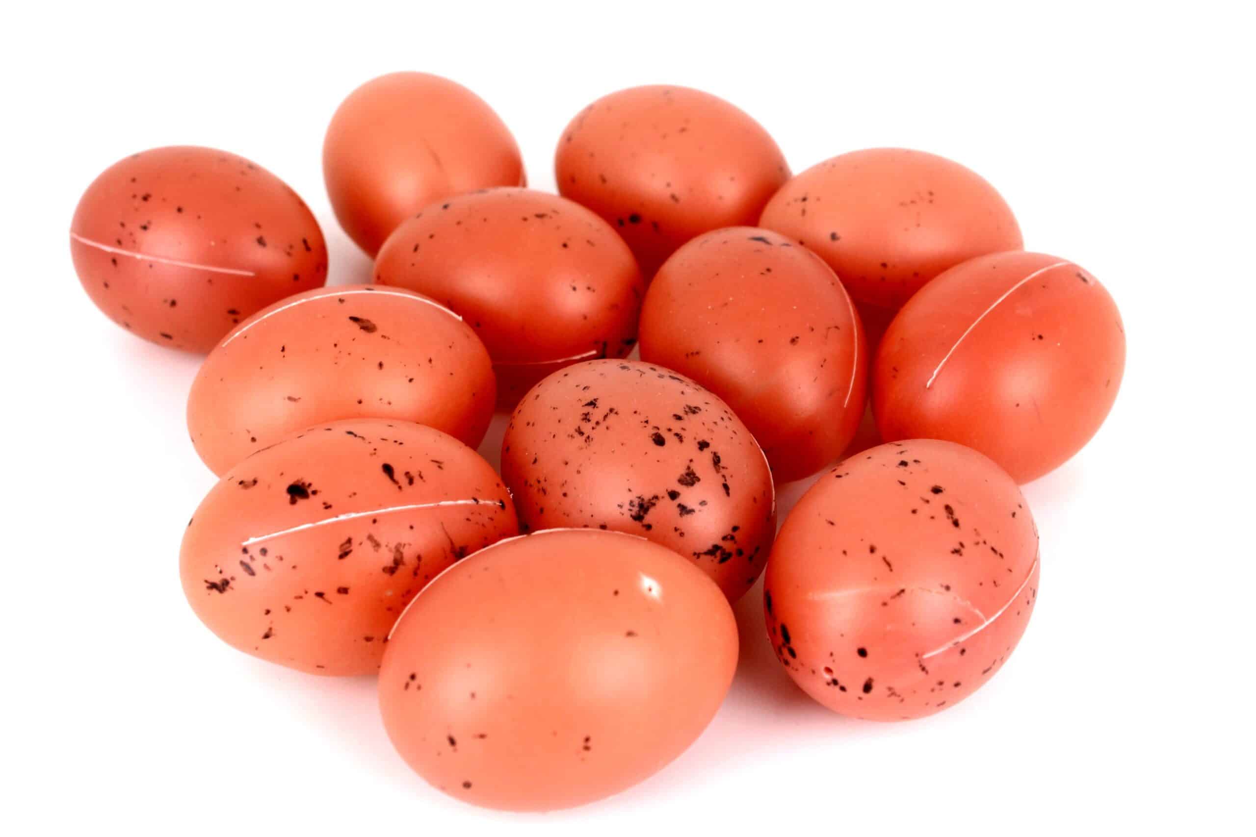 Jajka Naturalne Plastikowe 12 sztuk
