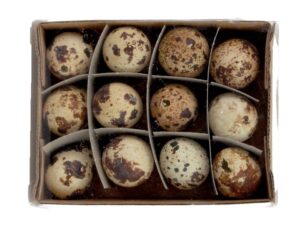 Jajka przepiórcze wydmuszki