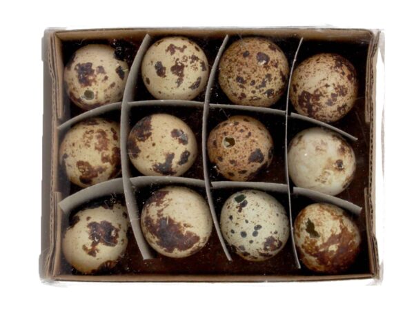 Jajka przepiórcze wydmuszki