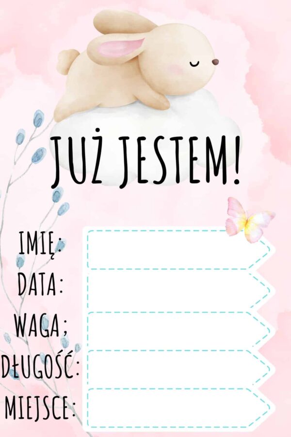 Karty do zdjęć dla dziewczynki Mój pierwszy rok życia 