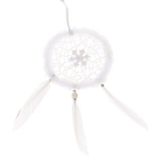 Łapacz Snów Winter Dream