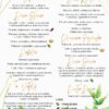 Menu Weselne Geo Spring 