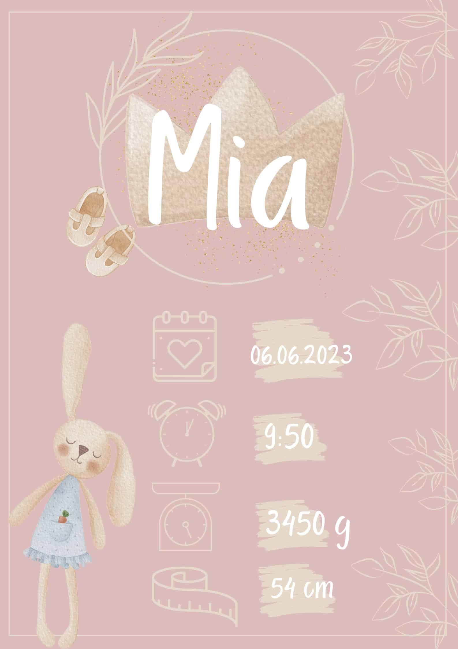 Metryczka dla dziecka Baby Girl