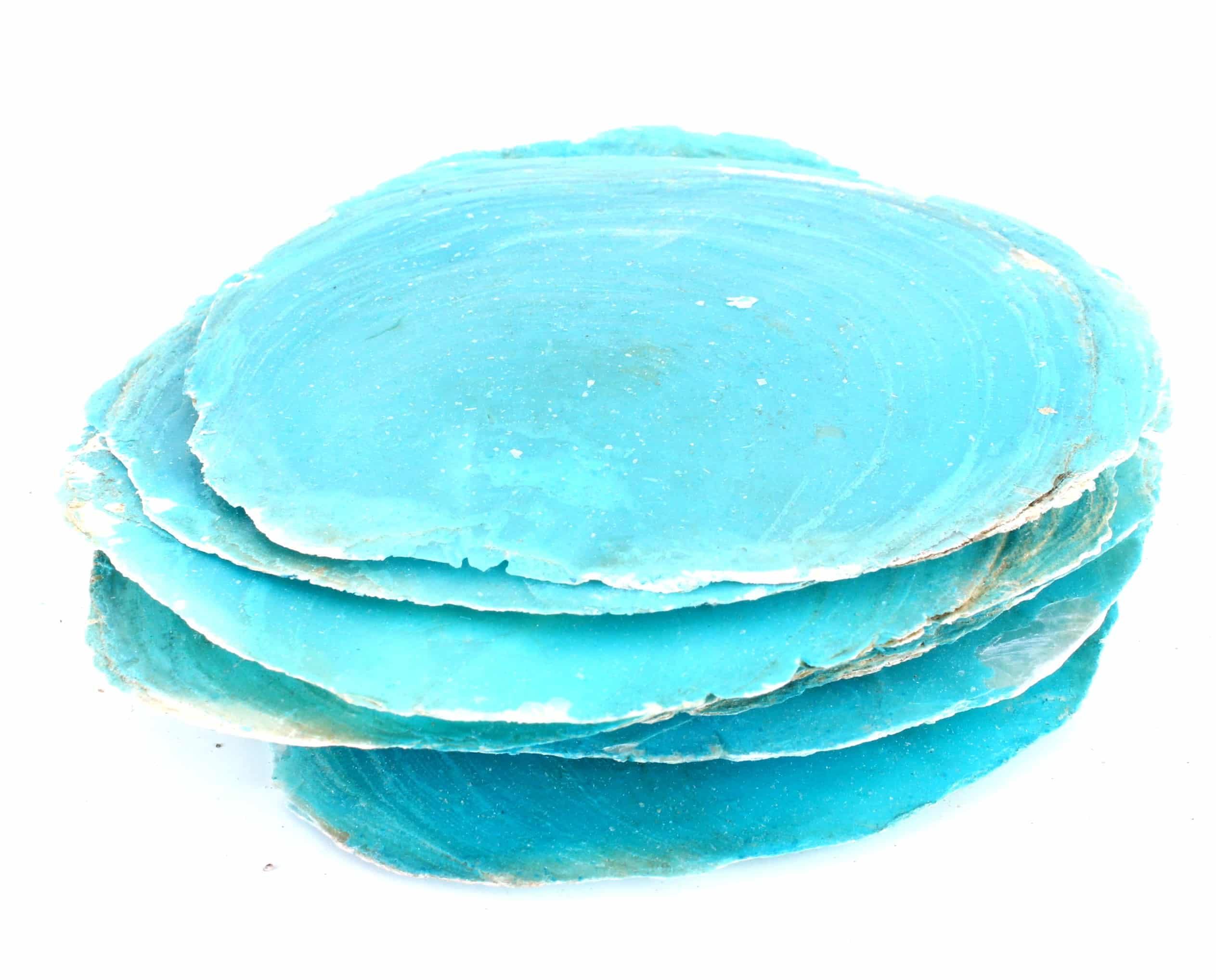 Muszle morskie Capiz Niebieskie 250g