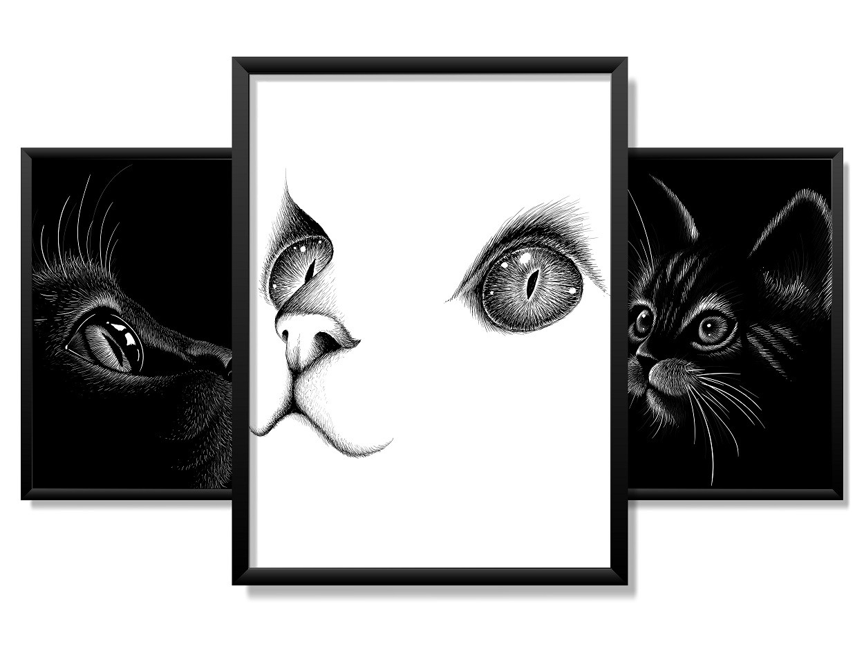 Obrazy w Drewnianej Ramie 90x40cm Koty