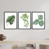 Obrazy w Drewnianej Ramie 90x40cm Monstera