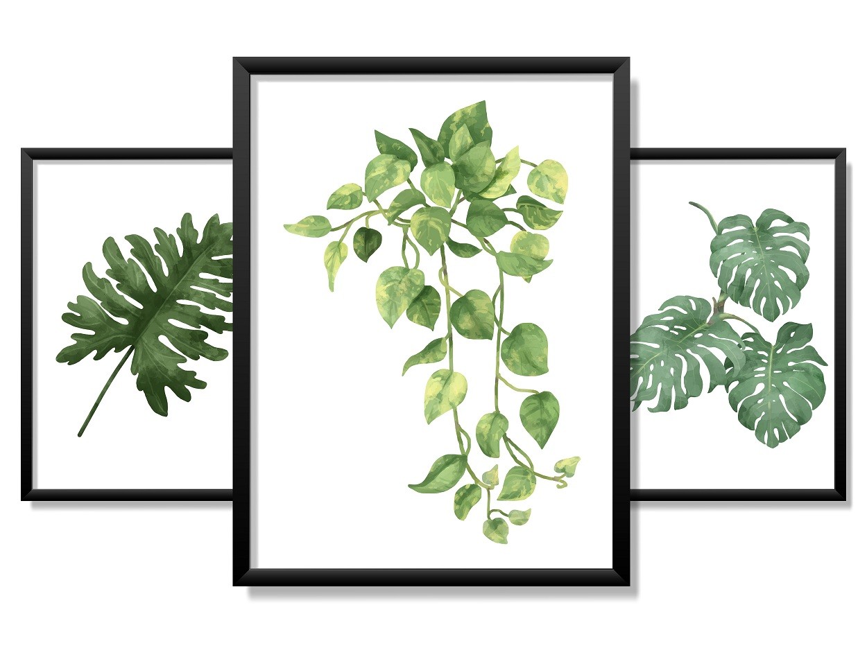 Obrazy w Drewnianej Ramie 90x40cm Monstera