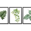 Obrazy w Drewnianej Ramie 90x40cm Monstera