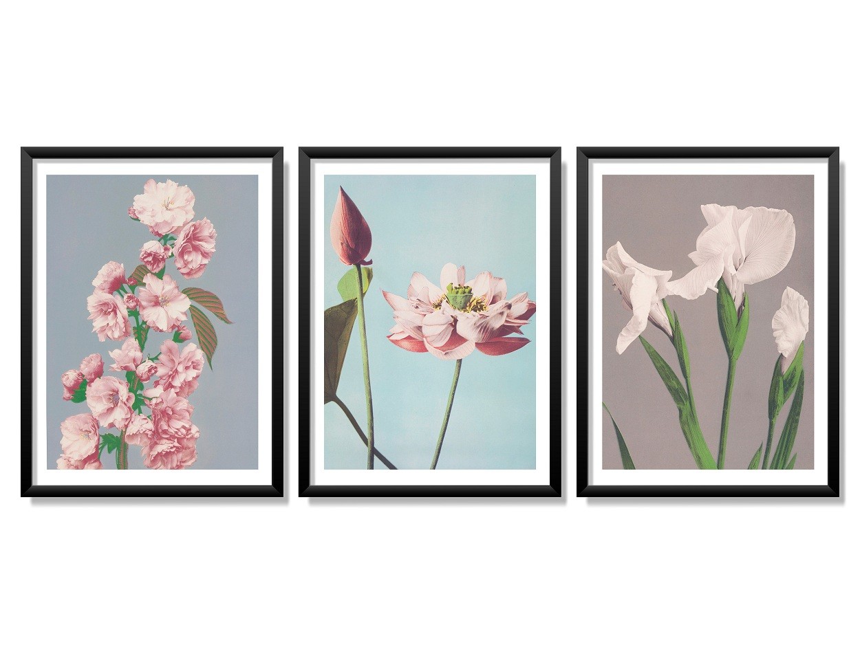 Obrazy w Drewnianej Ramie 90x40cm Retro Flower