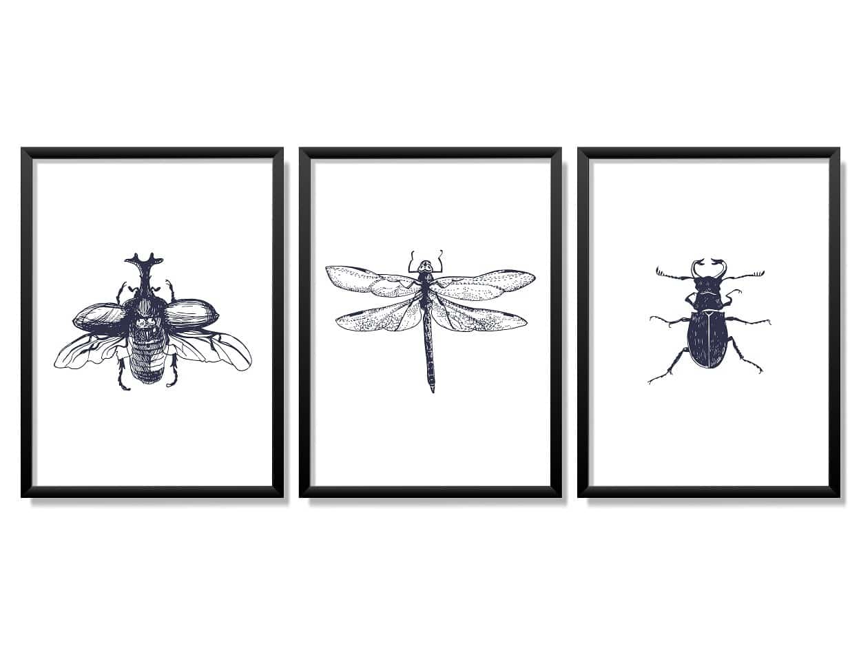 Obrazy w Drewnianej Ramie 90x40cm Robale