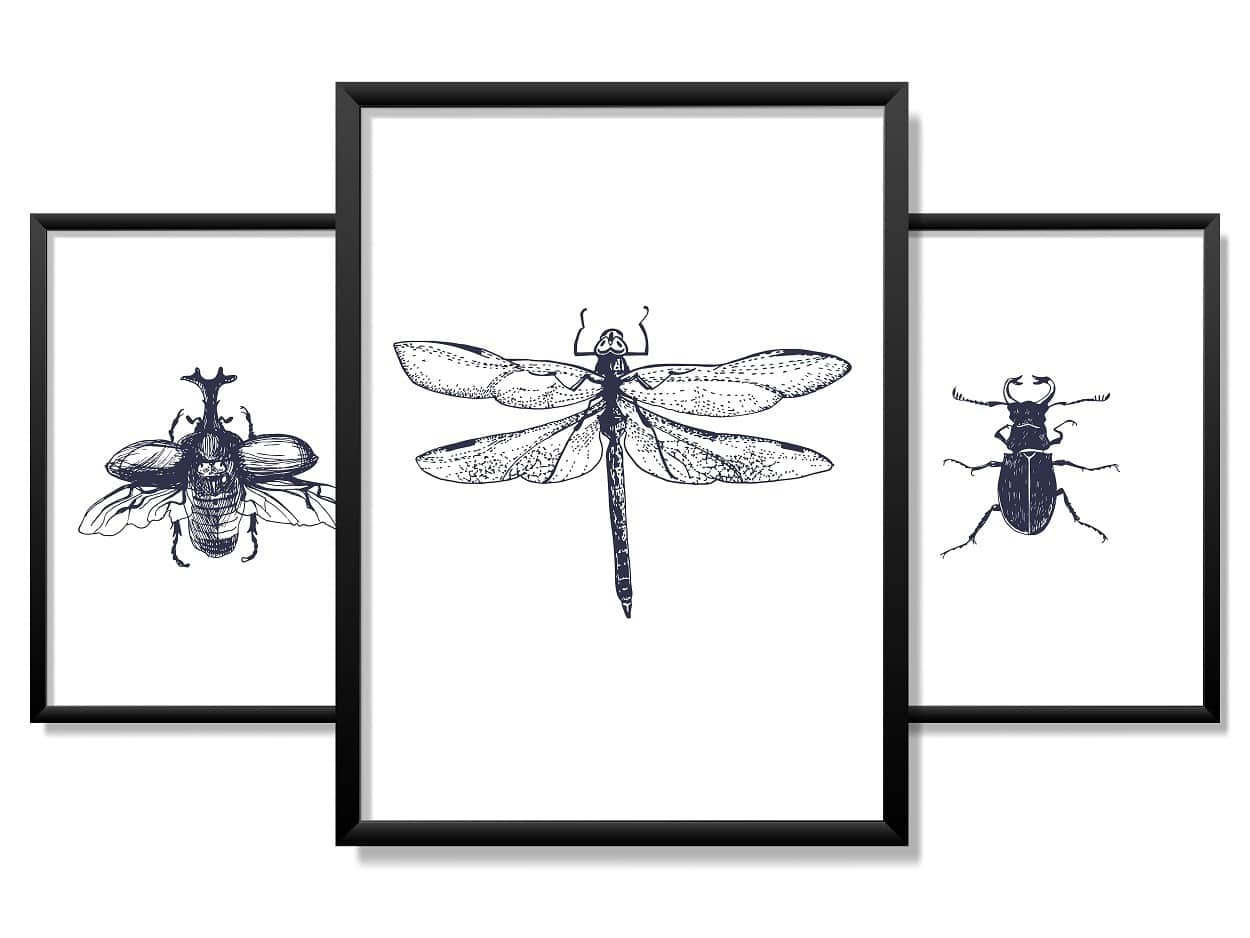 Obrazy w Drewnianej Ramie 90x40cm Robale