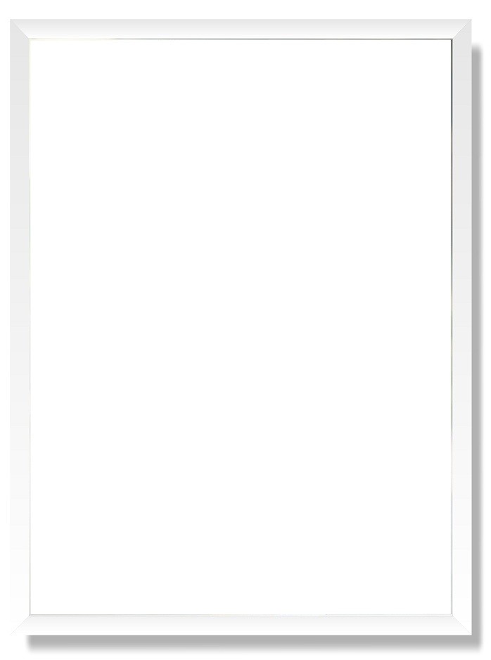 Obrazy w Drewnianej Ramie 90x40cm Splash Flower