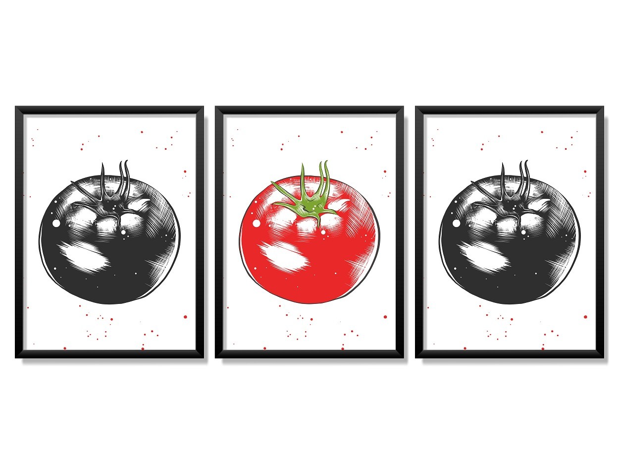 Obrazy w Drewnianej Ramie 90x40cm Tomato a Tegoniema
