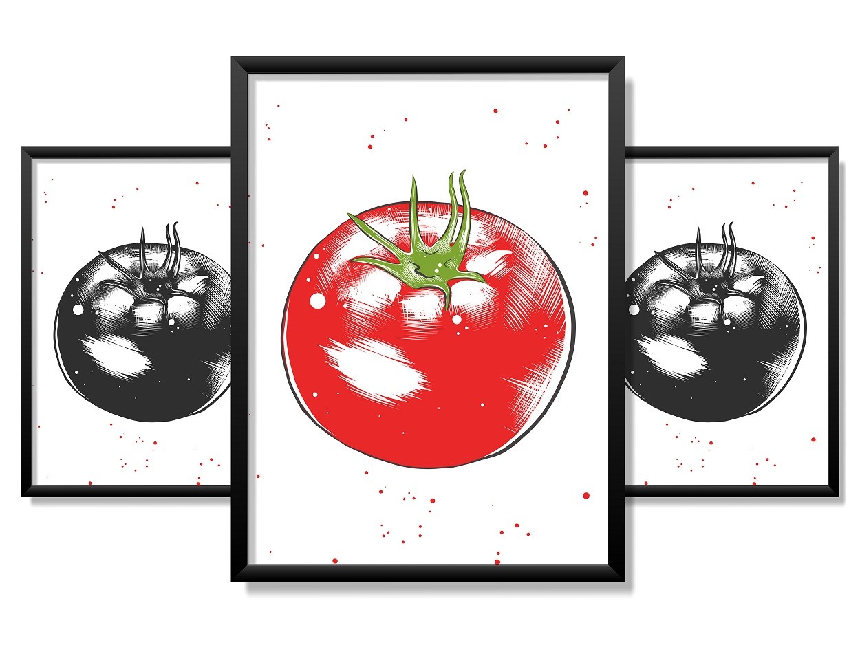 Obrazy w Drewnianej Ramie 90x40cm Tomato a Tegoniema