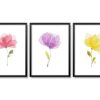 Obrazy w Drewnianej Ramie 90x40cm Tricolor Flower