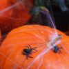 Pająki dekoracyjne na Halloween 10szt.