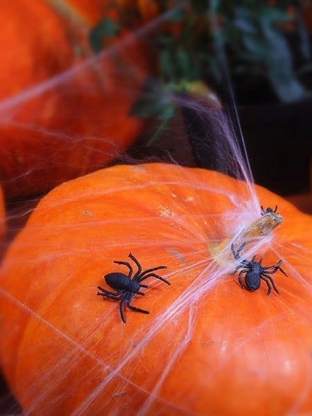Pająki dekoracyjne na Halloween 10szt.