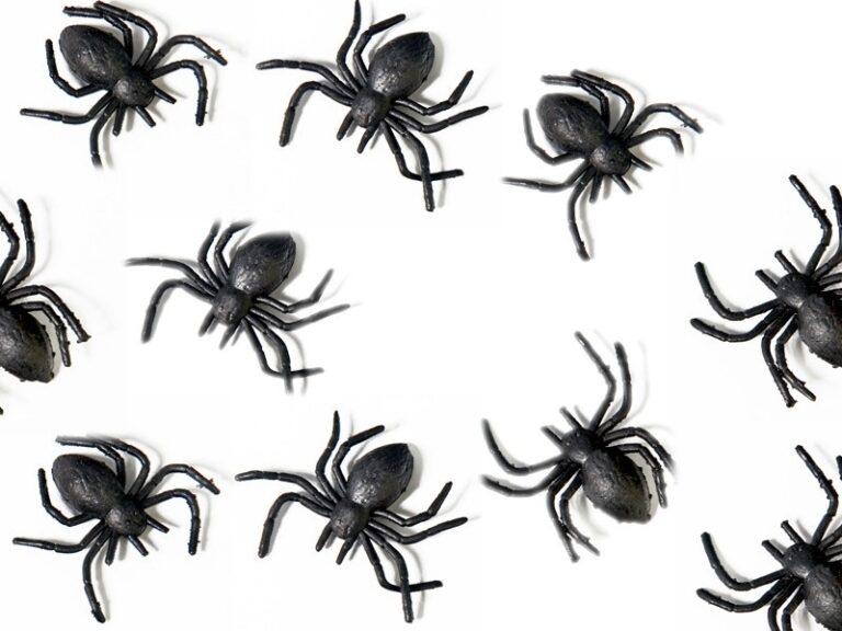 Pająki dekoracyjne na Halloween 10szt.