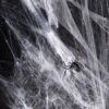 Pajęczyna dekoracyjna na Halloween