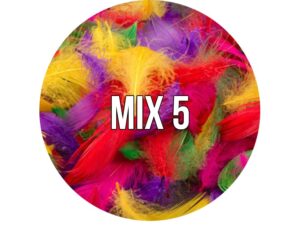 Piórka dekoracyjne w torebce MIX 5