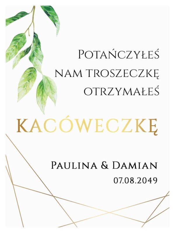 Podziękowania Dla Gości Kacówka Geo Spring 