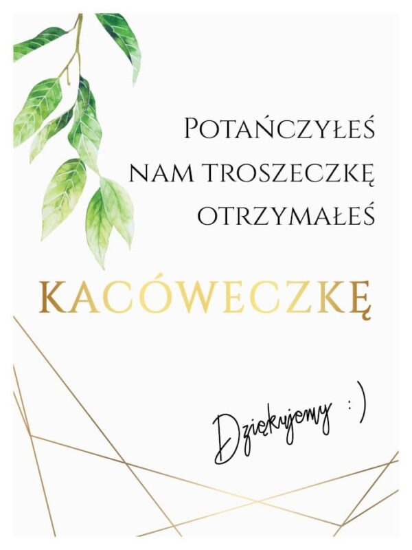 Podziękowania Dla Gości Kacówka Geo Spring 