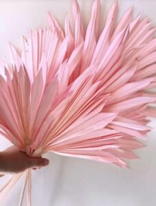 Suszona Palma Liść Różowy 1szt