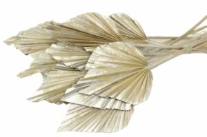 Suszona Palma Liście Posrebrzane 10 szt.