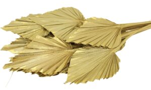 Suszona Palma Liście Złote 10 szt.