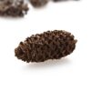 Szyszki sosny brzozowej, naturalne 50g