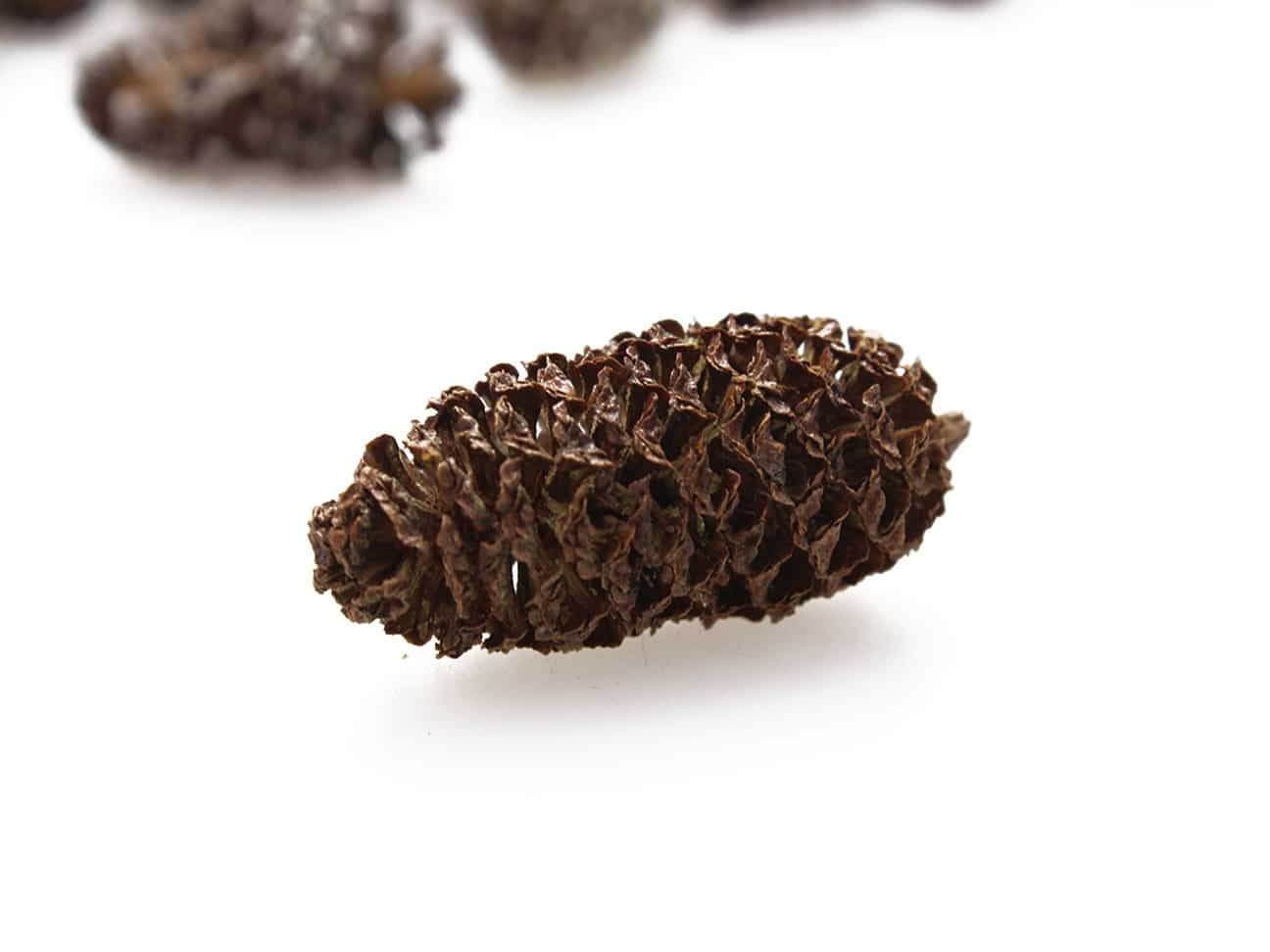 Szyszki sosny brzozowej, naturalne 50g