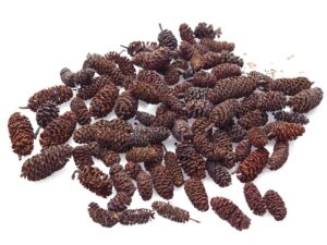 Szyszki sosny brzozowej, naturalne 50g