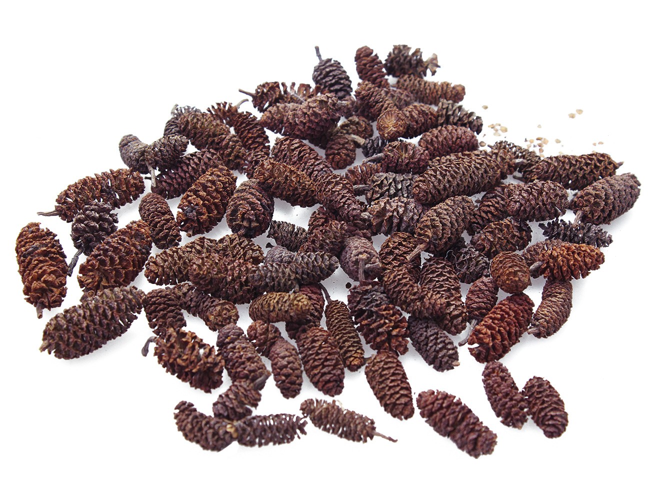 Szyszki sosny brzozowej, naturalne 50g