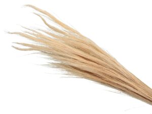 Trawa Broom Grass Naturalna 100cm 13 szt.
