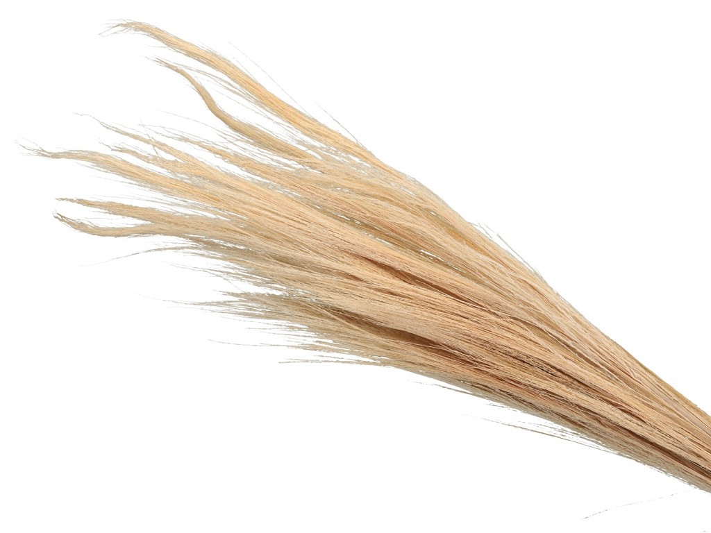 Trawa Broom Grass Naturalna 100cm 13 szt.