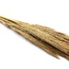 Trawa Sanmuga Grass Naturalna 80cm 10 szt.