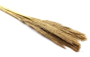 Trawa Sanmuga Grass Naturalna 80cm 10 szt.